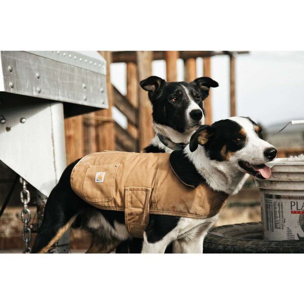 Carhartt Dog Chore Coat Durable Dog Jacket Contractors Clothing Co.